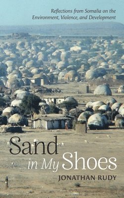 bokomslag Sand in My Shoes