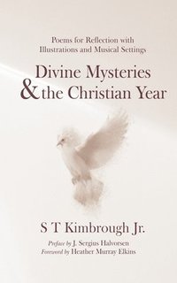 bokomslag Divine Mysteries and the Christian Year