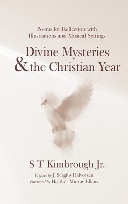 bokomslag Divine Mysteries and the Christian Year