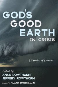 bokomslag God's Good Earth in Crisis