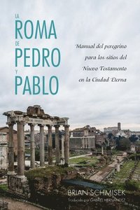 bokomslag La Roma de Pedro y Pablo