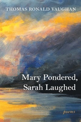 bokomslag Mary Pondered, Sarah Laughed