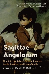 bokomslag Sagittae Angelorum