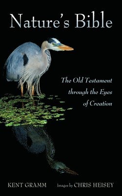 bokomslag Nature's Bible: The Old Testament Through the Eyes of Creation
