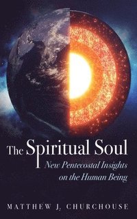 bokomslag Spiritual Soul