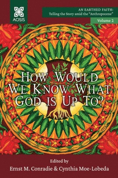 Ernst M. Conradie, Cynthia D. Moe-Lobeda - How Would we Know what God is up to?, Häftad