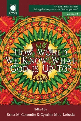 Ernst M. Conradie, Cynthia D. Moe-Lobeda - How Would we Know what God is up to?, Inbunden