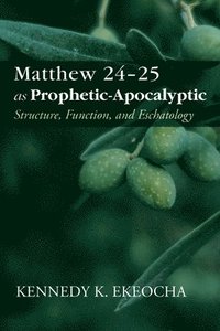 bokomslag Matthew 24-25 as Prophetic-Apocalyptic