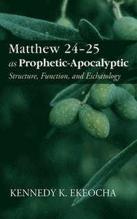 bokomslag Matthew 24-25 as Prophetic-Apocalyptic