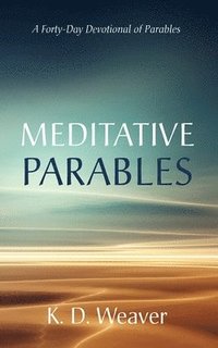 bokomslag Meditative Parables