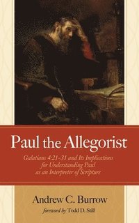 bokomslag Paul the Allegorist