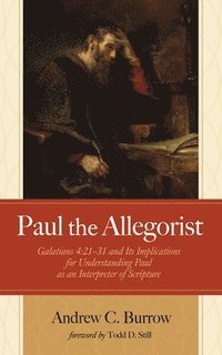 bokomslag Paul the Allegorist