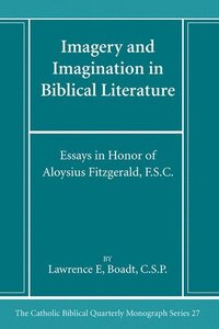 bokomslag Imagery and Imagination in Biblical Literature