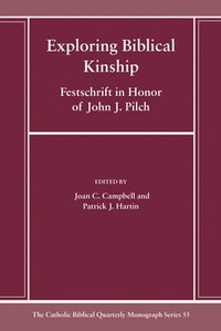 bokomslag Exploring Biblical Kinship