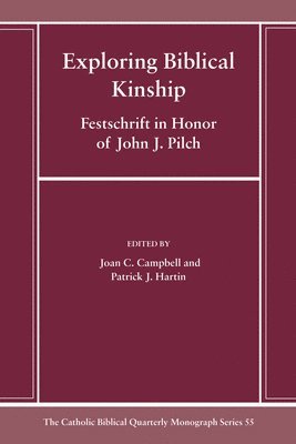 bokomslag Exploring Biblical Kinship