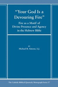 bokomslag Your God Is a Devouring Fire