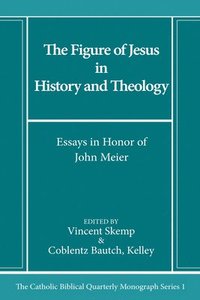 bokomslag Figure of Jesus in History and Theology