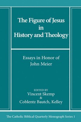 bokomslag Figure of Jesus in History and Theology