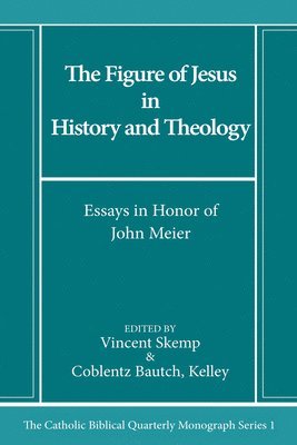 bokomslag The Figure of Jesus in History and Theology