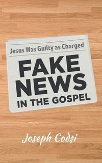 bokomslag Fake News in the Gospel