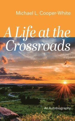 bokomslag Life at the Crossroads