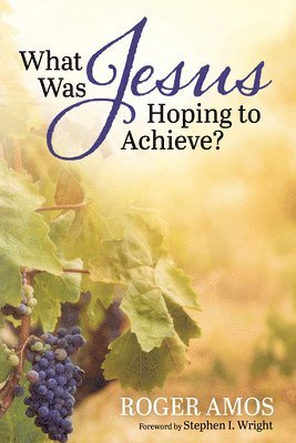 Roger Amos - What Was Jesus Hoping to Achieve?, Inbunden