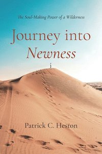 bokomslag Journey Into Newness: The Soul-Making Power of a Wilderness