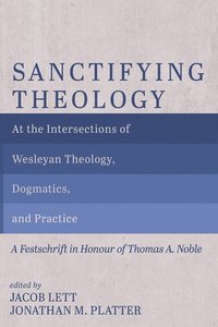 bokomslag Sanctifying Theology