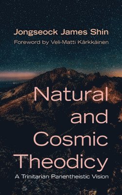 bokomslag Natural and Cosmic Theodicy