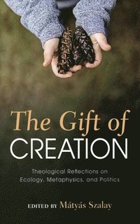 bokomslag Gift of Creation