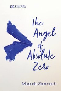 bokomslag Angel of Absolute Zero