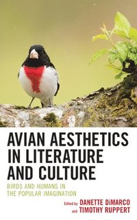 bokomslag Avian Aesthetics in Literature and Culture