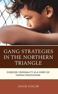 bokomslag Gang Strategies in the Northern Triangle