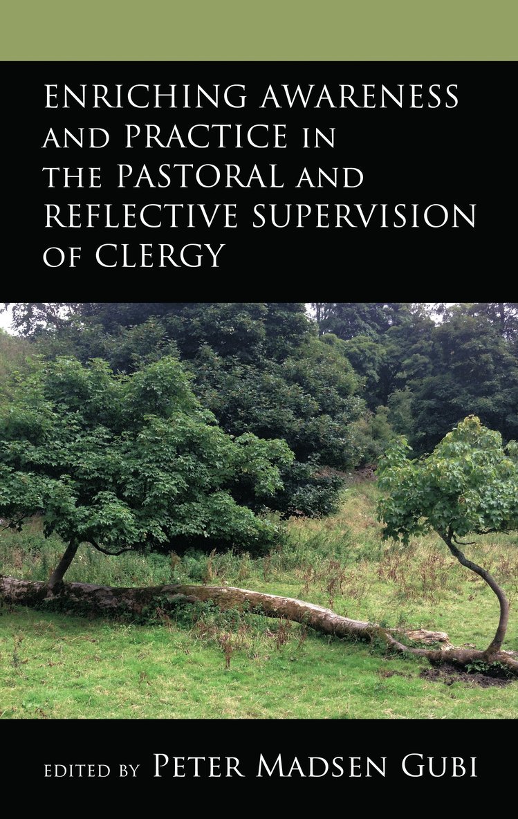 Enriching Awareness and Practice in the Pastoral and Reflective Supervision of Clergy