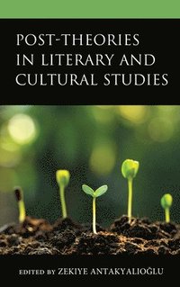 bokomslag Post-Theories in Literary and Cultural Studies