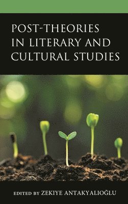 bokomslag Post-Theories in Literary and Cultural Studies