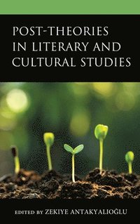 bokomslag Post-Theories in Literary and Cultural Studies