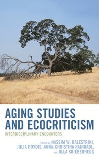 bokomslag Aging Studies and Ecocriticism