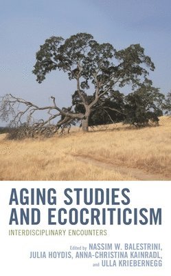 bokomslag Aging Studies and Ecocriticism