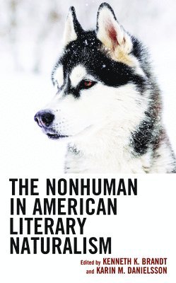 bokomslag The Nonhuman in American Literary Naturalism