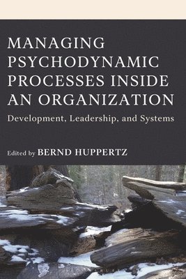 Bernd Huppertz, Bernd (Coaching Consulting Huppertz) Huppertz - Managing Psychodynamic Processes Inside an Organization, Inbunden