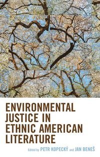 bokomslag Environmental Justice in Ethnic American Literature