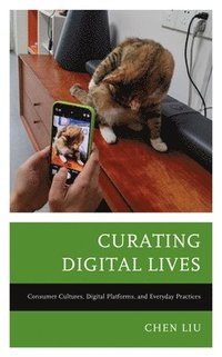bokomslag Curating Digital Lives