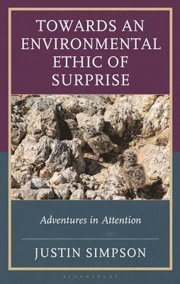 bokomslag Towards an Environmental Ethic of Surprise