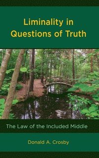 bokomslag Liminality in Questions of Truth