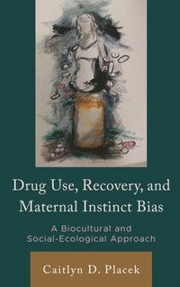 bokomslag Drug Use, Recovery, and Maternal Instinct Bias