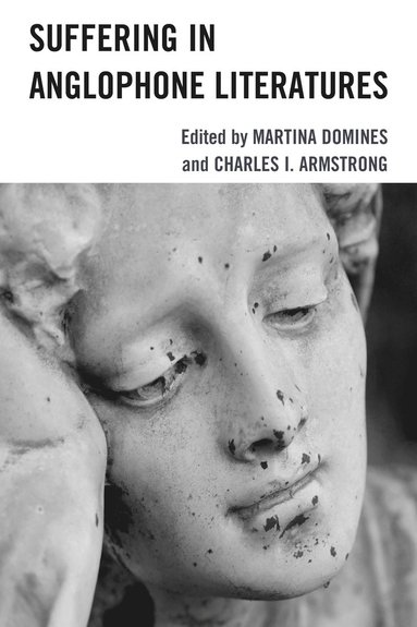 bokomslag Suffering in Anglophone Literatures