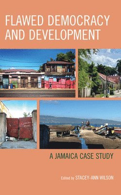 Stacey-Ann Wilson - Flawed Democracy and Development, Inbunden