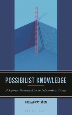 Gustavo Castañon, Gustavo Castanon - Possibilist Knowledge, Inbunden