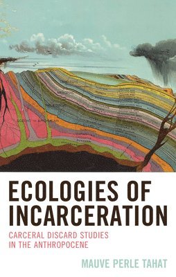 bokomslag Ecologies of Incarceration